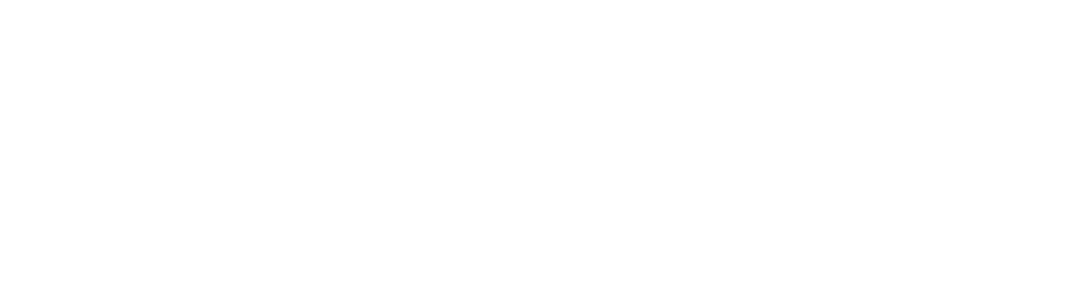 Business Angels of Slovenia
